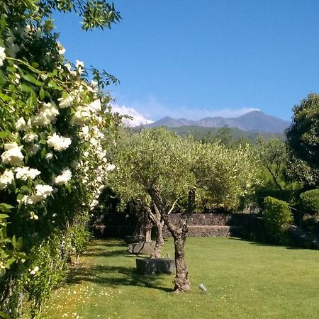 Casa Vacanze Prato Verde Zafferana Etnea Exterior foto