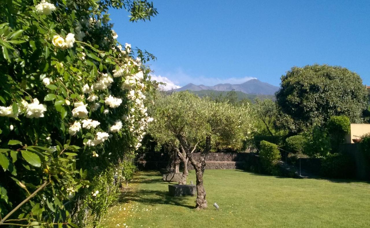 Casa Vacanze Prato Verde Zafferana Etnea Exterior foto